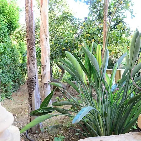 Palazzio 1787 3* Żejtun